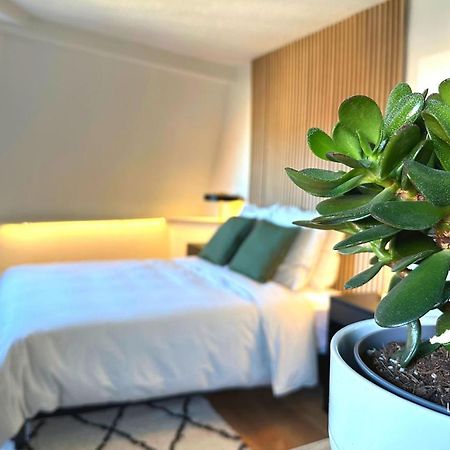 Suite Dernier Etage Saint-Maur La Madeleine  Eksteriør billede